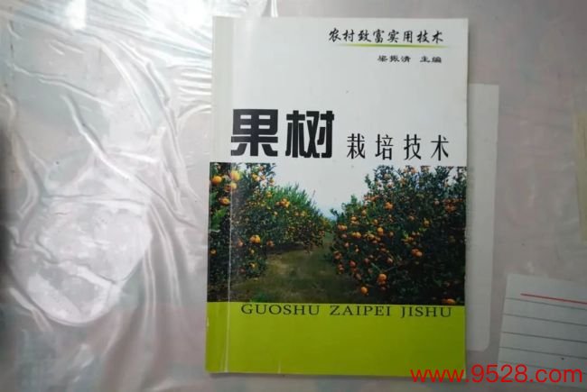 81岁老农技员追逐潮水上起“网课” 开直播教种地火了