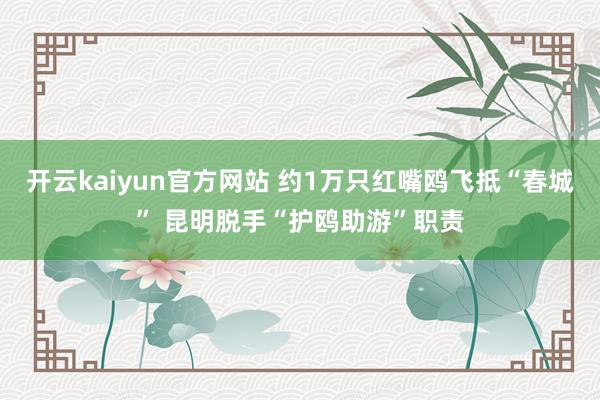 开云kaiyun官方网站 约1万只红嘴鸥飞抵“春城” 昆明脱手“护鸥助游”职责