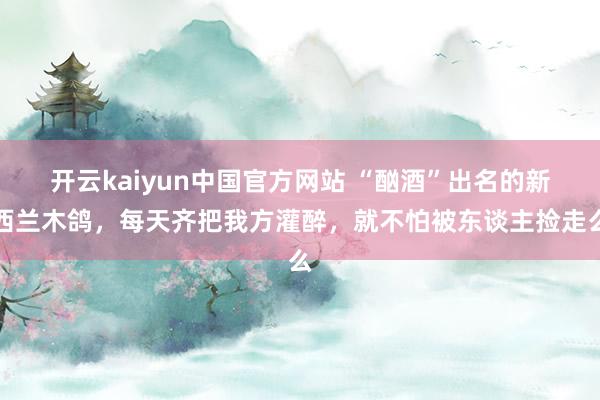 开云kaiyun中国官方网站 “酗酒”出名的新西兰木鸽，每天齐把我方灌醉，就不怕被东谈主捡走么