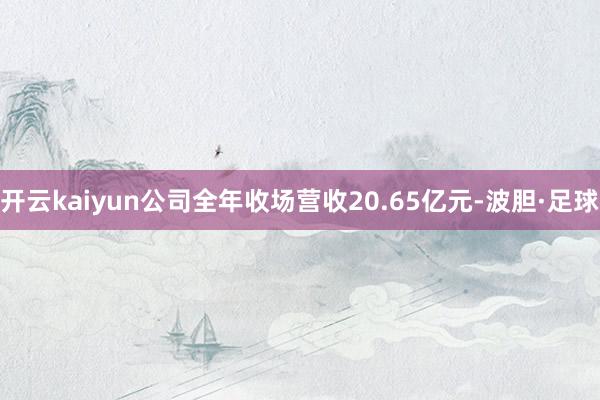 开云kaiyun公司全年收场营收20.65亿元-波胆·足球