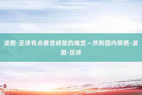 波胆·足球有点像宫崎骏的嗅觉～然则园内很晒-波胆·足球