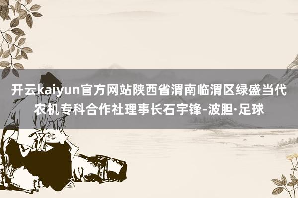 开云kaiyun官方网站陕西省渭南临渭区绿盛当代农机专科合作社理事长石宇锋-波胆·足球