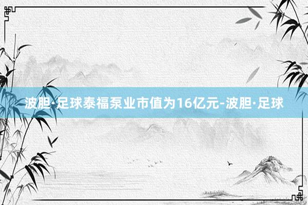 波胆·足球泰福泵业市值为16亿元-波胆·足球