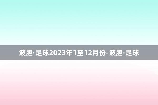 波胆·足球2023年1至12月份-波胆·足球