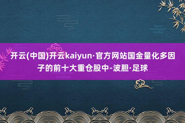 开云(中国)开云kaiyun·官方网站国金量化多因子的前十大重仓股中-波胆·足球