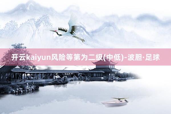 开云kaiyun风险等第为二级(中低)-波胆·足球