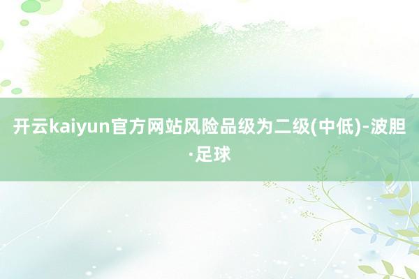 开云kaiyun官方网站风险品级为二级(中低)-波胆·足球