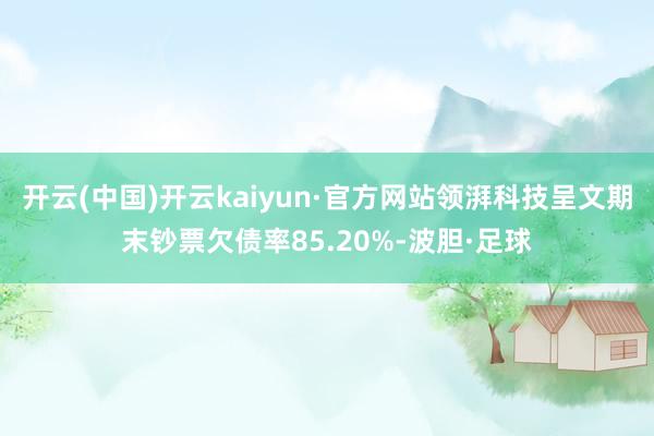 开云(中国)开云kaiyun·官方网站领湃科技呈文期末钞票欠债率85.20%-波胆·足球