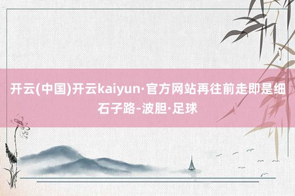 开云(中国)开云kaiyun·官方网站再往前走即是细石子路-波胆·足球