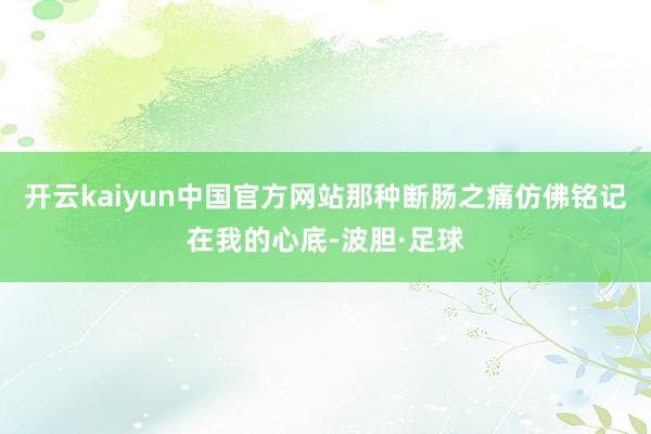 开云kaiyun中国官方网站那种断肠之痛仿佛铭记在我的心底-波胆·足球