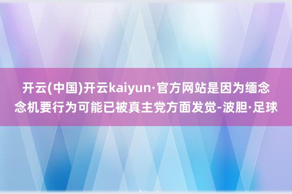 开云(中国)开云kaiyun·官方网站是因为缅念念机要行为可能已被真主党方面发觉-波胆·足球