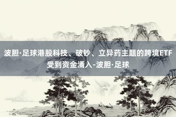 波胆·足球港股科技、破钞、立异药主题的跨境ETF受到资金涌入-波胆·足球