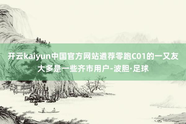 开云kaiyun中国官方网站遴荐零跑C01的一又友大多是一些齐市用户-波胆·足球