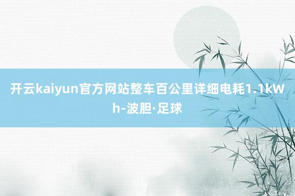 开云kaiyun官方网站整车百公里详细电耗1.1kWh-波胆·足球