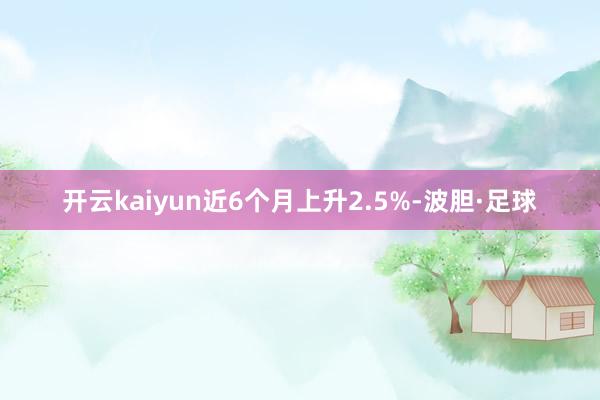 开云kaiyun近6个月上升2.5%-波胆·足球