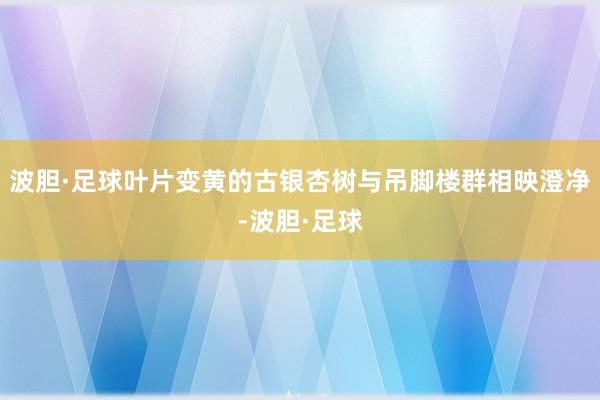 波胆·足球叶片变黄的古银杏树与吊脚楼群相映澄净-波胆·足球