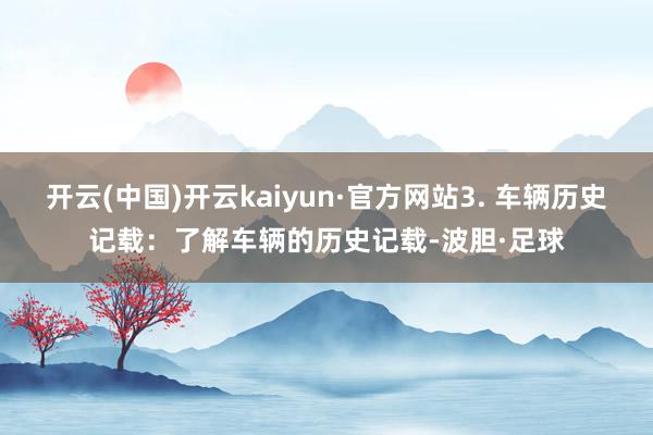 开云(中国)开云kaiyun·官方网站3. 车辆历史记载：了解车辆的历史记载-波胆·足球