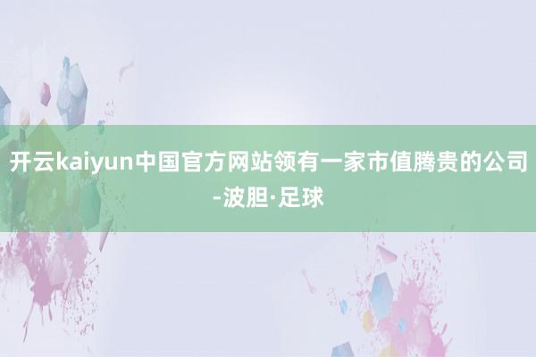 开云kaiyun中国官方网站领有一家市值腾贵的公司-波胆·足球