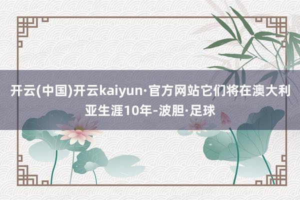 开云(中国)开云kaiyun·官方网站它们将在澳大利亚生涯10年-波胆·足球