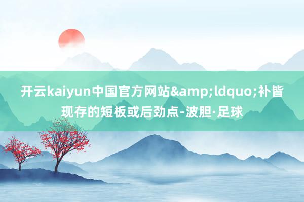 开云kaiyun中国官方网站&ldquo;补皆现存的短板或后劲点-波胆·足球