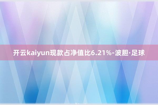 开云kaiyun现款占净值比6.21%-波胆·足球