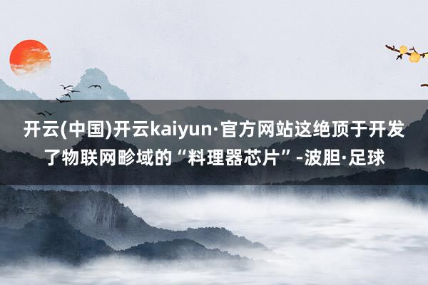 开云(中国)开云kaiyun·官方网站这绝顶于开发了物联网畛域的“料理器芯片”-波胆·足球