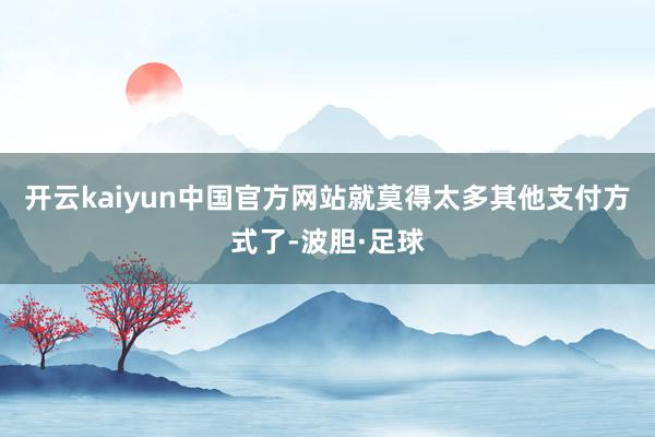 开云kaiyun中国官方网站就莫得太多其他支付方式了-波胆·足球