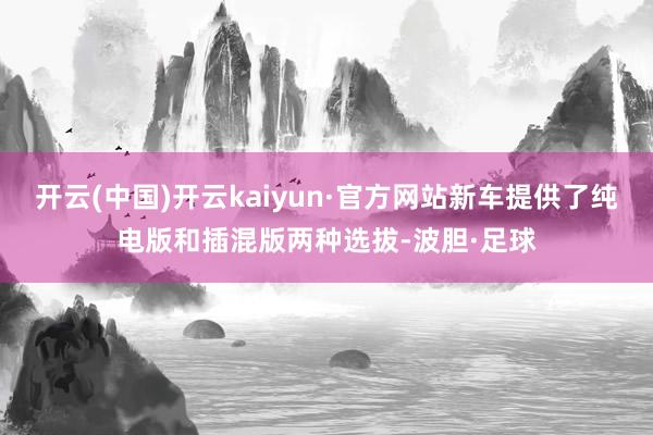 开云(中国)开云kaiyun·官方网站新车提供了纯电版和插混版两种选拔-波胆·足球